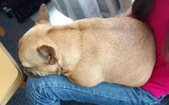 最佳爱情主题曲